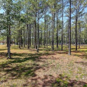 6523StonleyCirSW - 4