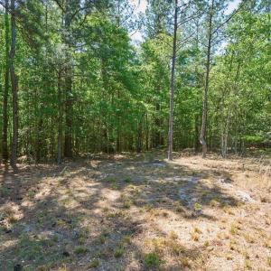 01-1_510 Carys Ln., West End, NC 27376_L