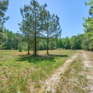 03-3_510 Carys Ln., West End, NC 27376_L