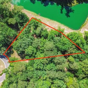Drone Aerial