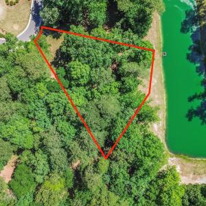 Drone Aerial