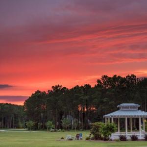 Arlington Place Amenities