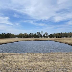 Screenshot 2026-04-27 at 11.54.00AM