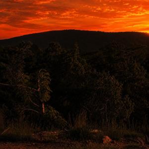 aftersunsetskeenview