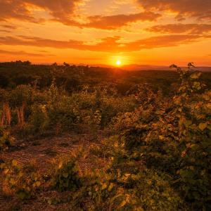 sunset skeen view