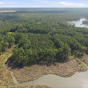 8-web-or-mls-dji_20260424161506_0293_d