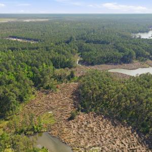 15-web-or-mls-dji_20260424162258_0301_d