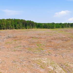 11-web-or-mls-dji_20260427150305_0490_d