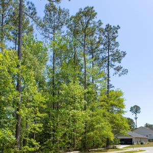 2574 Provence-15