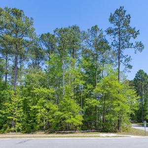 2574 Provence-14