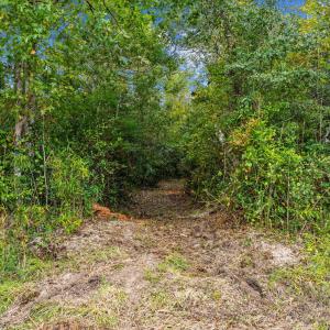 11-web-or-mls-Full11