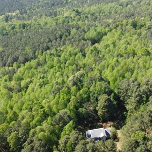 DJI_0012