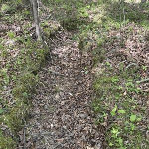 IMG_2434
