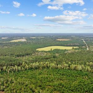 Photo #6 of 50ac Near 22984 Peacock R, Tabor City, NC 50.0 acres
