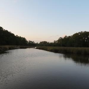 IMG_8994