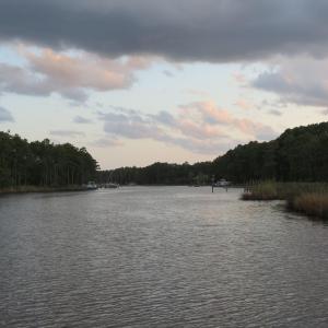 IMG_9005