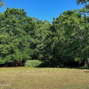 Level Homesite