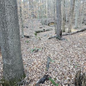 SR MLS 30