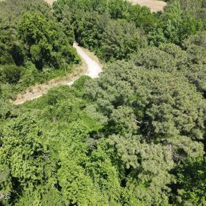 DJI_0218