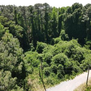 DJI_0222