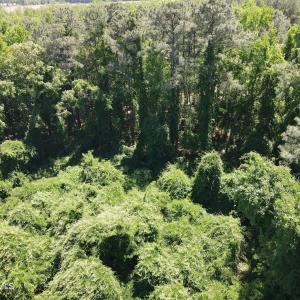 DJI_0223