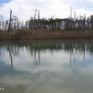 Pond View