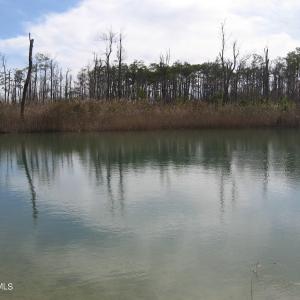 Pond View 3