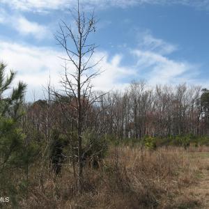 Land View 4