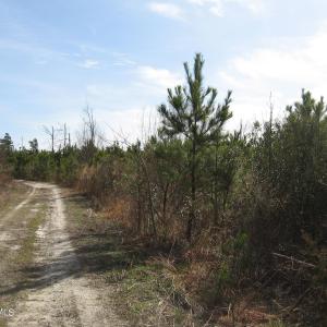 Land View 3
