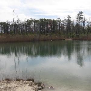 Pond View 4