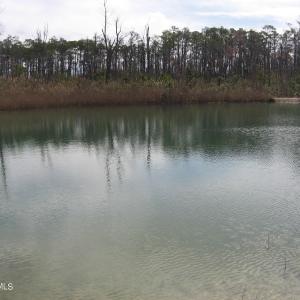 Pond View 5