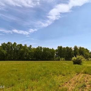 17.