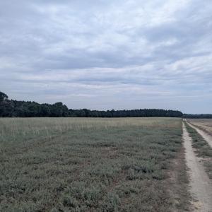 Farm Pic