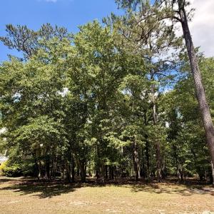 Front of Site