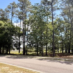 View from Front of site