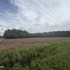 IMG_8301
