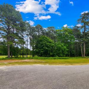 142 Scuppernog River Dr