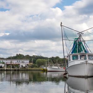 21-web-or-mls-Down East2