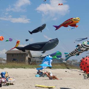 Kites on Beach