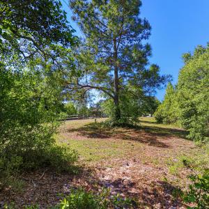 Vacant lot in Marsh Harbor