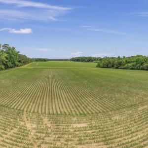 18-001_0053_pano