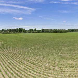 16-001_0051_pano