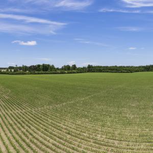 15-001_0050_pano
