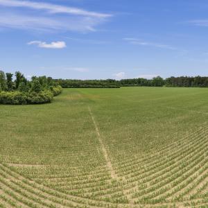 17-001_0052_pano