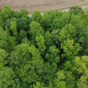 DJI_0374