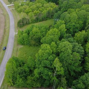 DJI_0372
