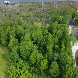DJI_0387