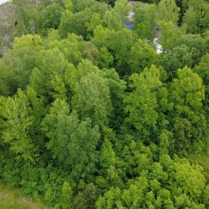 DJI_0377