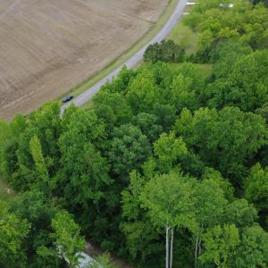 DJI_0373