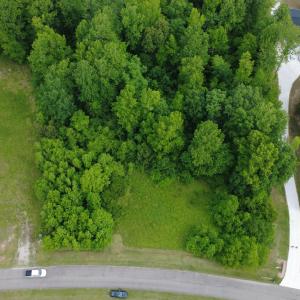 DJI_0386